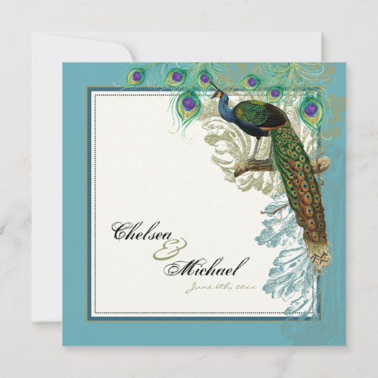 Peacock, veren in Etchings - Uitnodiging (Achterkant)