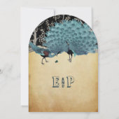 Peacock  veren met pacocks kaart (Achterkant)