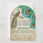 Peacock  veren met Peacock Kaart (Voorkant)