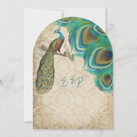 Peacock  veren met Peacock Kaart (Achterkant)