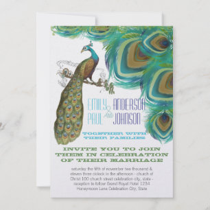 Peacock veren met Peacock Kaart