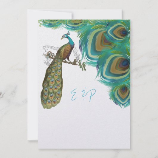 Peacock veren met Peacock Kaart (Achterkant)