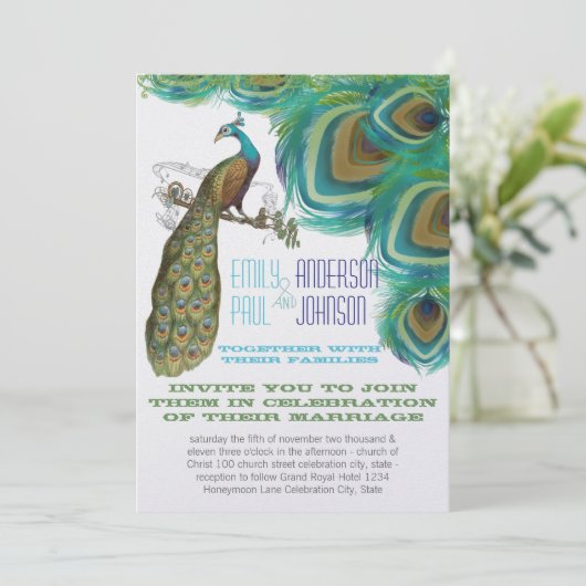 Peacock  veren met Peacock Kaart (Staand voorkant)