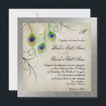Peacock veren zilveren damast bruiloft briefpapier kaart<br><div class="desc">OPMERKING: Dit is een platte gedrukte uitnodiging, er worden geen lagen of zilveren metalen inkten gebruikt bij het maken ervan. Het ontwerp heeft echter het uiterlijk van een meerlaags en zilverkleurig afbeelding. KLEUR PALET: zilver metallic look, grijs, crème, tan, goud, groen, turquoise, blauw en paarse. DESIGN COLLECTIE: Dit is onderdeel...</div>