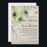 Peacock veren zilveren damast bruiloft briefpapier kaart<br><div class="desc">OPMERKING: Dit is een platte gedrukte uitnodiging, er worden geen lagen of zilveren metalen inkten gebruikt bij het maken ervan. Het ontwerp heeft echter het uiterlijk van een meerlaags en zilverkleurig afbeelding. KLEUR PALET: zilver metallic look, grijs, crème, tan, goud, groen, turquoise, blauw en paarse. DESIGN COLLECTIE: Dit is onderdeel...</div>