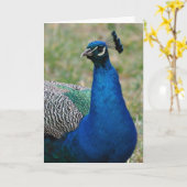 Peacock verjaardagskaart kaart (Gele Bloem)