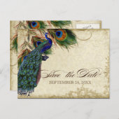 Peacock & Veters Formaal sparen de Datum Zwarte Ta Aankondigingskaart (Voorkant / Achterkant)