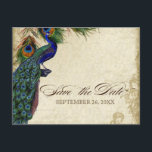 Peacock & Veters Formaal sparen de Datum Zwarte Ta Aankondigingskaart<br><div class="desc">OPMERKING: dit ontwerp is zonder de damast achtergrond. PAPIEREN SELECTIE: Briefkaarten zijn gedrukt op een zeer mooie, zeer zware voorraad die glanzend is aan de voorzijde en matte afwerking aan de achterzijde. KLEURENPALET: Zwart, geelbruin, crème koningsblauw, groen en roest. ONTWERP: Dit antiek geïnspireerde bruiloft collectie heeft een compleet ensemble van...</div>