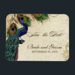 Peacock & Veters Formaal sparen de Datum Zwarte Ta Magneet<br><div class="desc">OPMERKING: dit ontwerp is zonder de demasachtergrond. COLOR PALETTE: zwart, tan, royal blue, green, en roest. ONTWERP: Dit antiek , geïnspireerde bruiloft collectie heeft een volledig samenstel van producten en kan in verschillende kleuren worden gemaakt. Als je wilt dat het overeenkomt met je bruiloft, laat het ons dan via e-mail...</div>
