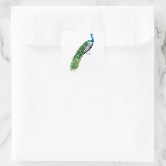  Peacock Vierkante Sticker (Tas)