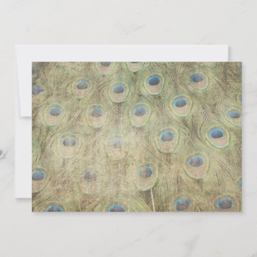Peacock Vintage Weddenschap Kaart (Achterkant)