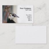 Peacock Visitekaartje (Voorkant / Achterkant)