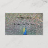 Peacock Visitekaartje (Achterkant)