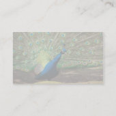 Peacock Visitekaartje (Achterkant)