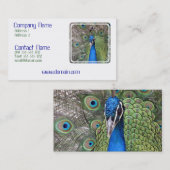 Peacock-Visitekaartje Visitekaartje (Voorkant / Achterkant)