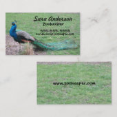Peacock-Visitekaartjes Visitekaartje (Voorkant / Achterkant)