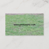 Peacock-Visitekaartjes Visitekaartje (Achterkant)