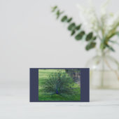 Peacock-Visitekaartjes Visitekaartje (Staand voorkant)