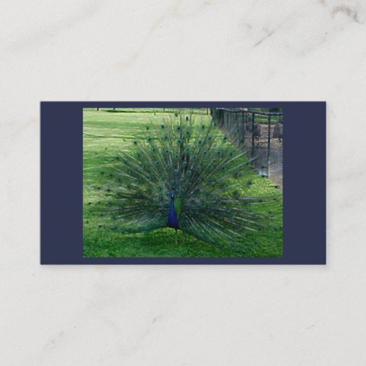 Peacock-Visitekaartjes Visitekaartje (Voorkant)