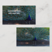 Peacock-visitekaartjes Visitekaartje (Voorkant / Achterkant)