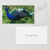 Peacock-Visitekaartjes Visitekaartje (Voorkant / Achterkant)