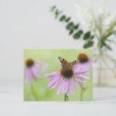 Peacock-vlinder (Inachis io) drink nectar Briefkaart (Staand voorkant)