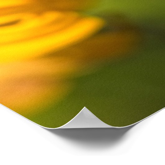 Peacock-vlinder Poster (Hoek)