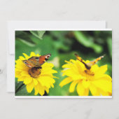 Peacock vlinders - Uitnodiging (Voorkant)