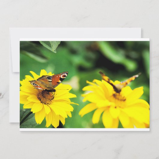 Peacock vlinders - Uitnodiging (Voorkant)