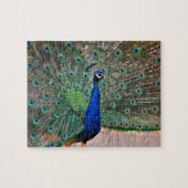 Peacock-vogel in volledig scherm legpuzzel (Horizontaal)