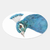 Peacock vogel sticker Ovaal (Voorkant)