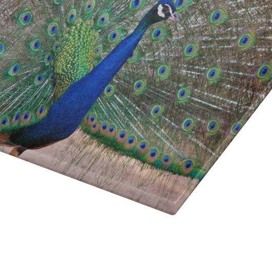 Peacock-vogeldisplay Snijplank (Hoek)