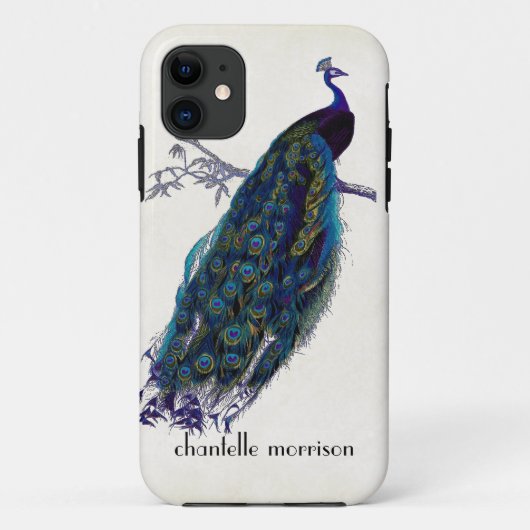Peacock, volledige veren op gespannen kant Case-Mate iPhone Case (Achterkant)