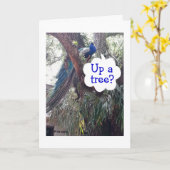 PEACOCK VRAAGT OF U EEN BOE OP HET OUDEREN BENT KAART (Gele Bloem)