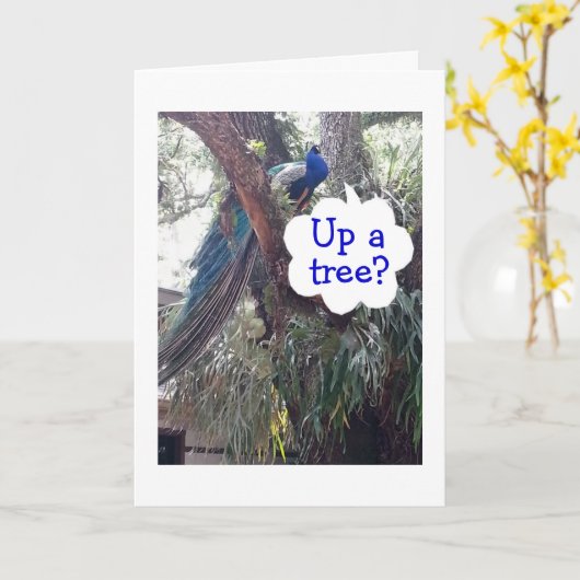 PEACOCK VRAAGT OF U EEN BOE OP HET OUDEREN BENT KAART (Gele Bloem)