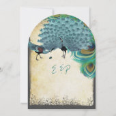 Peacock  Vuurwervelkolom Verbrandend randperkament Kaart (Achterkant)