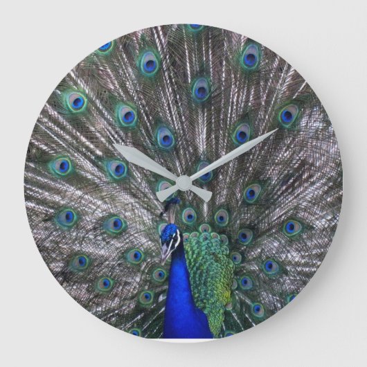 Peacock-wandklok Grote Klok (Voorkant)