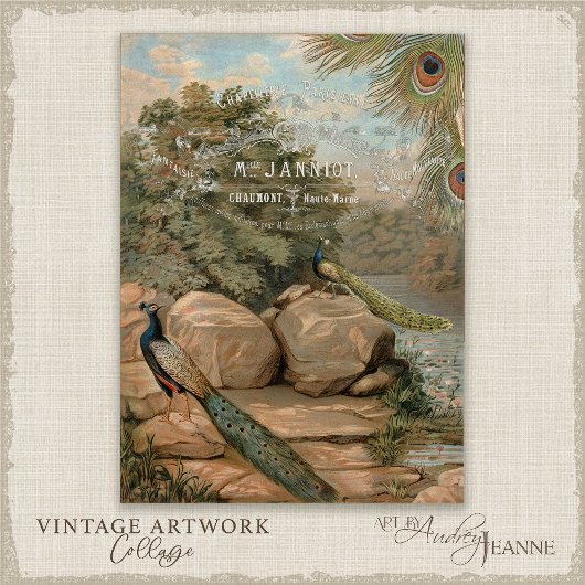 Peacock Water Lily Flora French Ephemera Decoupage Tissuepapier