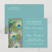 Peacock Wedding Save the Date Aankondigingskaart (Voorkant / Achterkant)