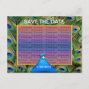 Peacock Wedding Save the Date Briefkaart