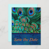 Peacock Wedding Save the Date Card (Voorkant / Achterkant)