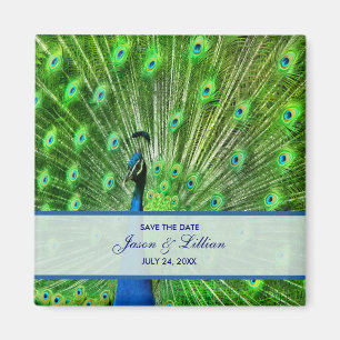 Peacock Wedding Save the Date Magneet