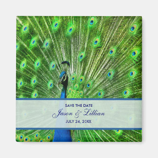 Peacock Wedding Save the Date Magneet