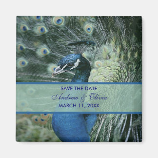 Peacock Wedding Save the Date Magneet