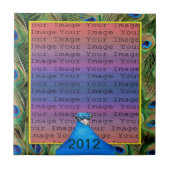 Peacock Wedding Tegel Tegeltje (Voorkant)