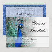 Peacock Wedding Theme 1 (Blauw) Kaart (Voorkant / Achterkant)