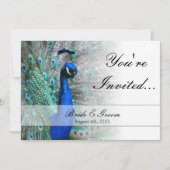 Peacock Wedding Theme 1 Kaart (Voorkant)