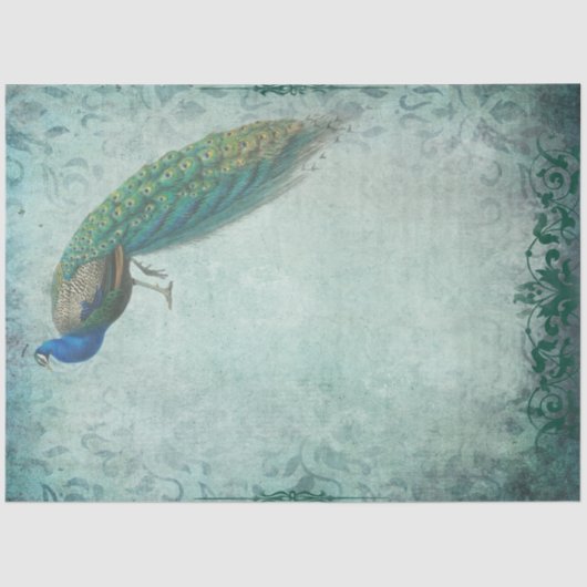 Peacock-weefselpapier voor kraft en collage tissuepapier (Voorkant)