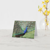 Peacock-Wenskaart Kaart (Gele Bloem)