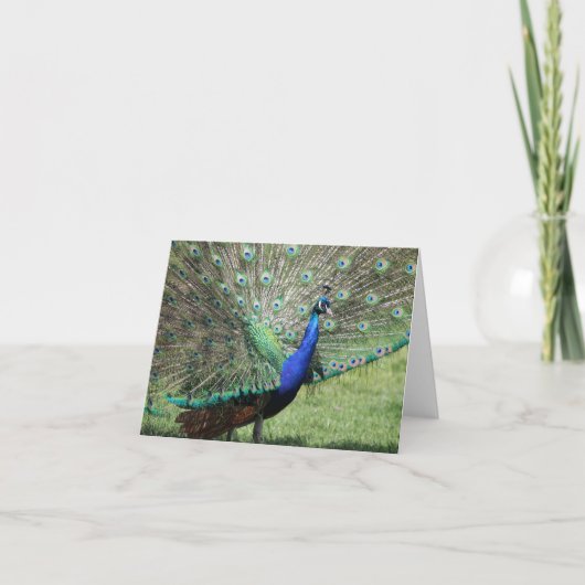Peacock-Wenskaart Kaart (Voorkant)